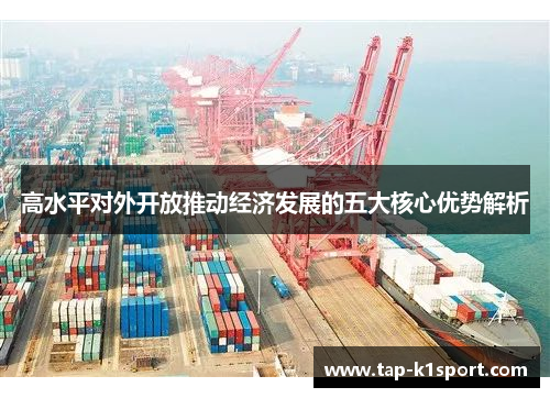 高水平对外开放推动经济发展的五大核心优势解析