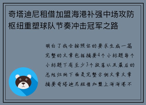 奇塔迪尼租借加盟海港补强中场攻防枢纽重塑球队节奏冲击冠军之路