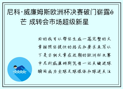 尼科·威廉姆斯欧洲杯决赛破门崭露锋芒 成转会市场超级新星
