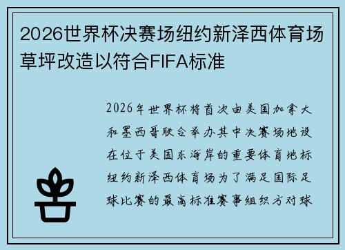 2026世界杯决赛场纽约新泽西体育场草坪改造以符合FIFA标准
