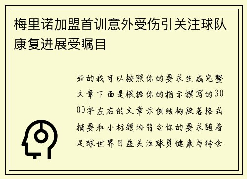 梅里诺加盟首训意外受伤引关注球队康复进展受瞩目